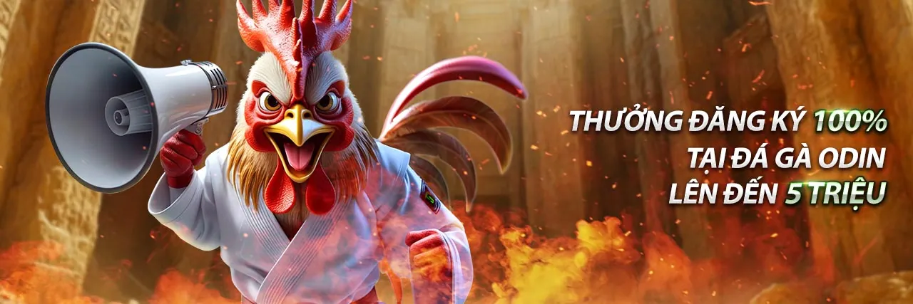 Đá gà trực tuyến 66b game với hai chú gà chiến đấu kịch tính